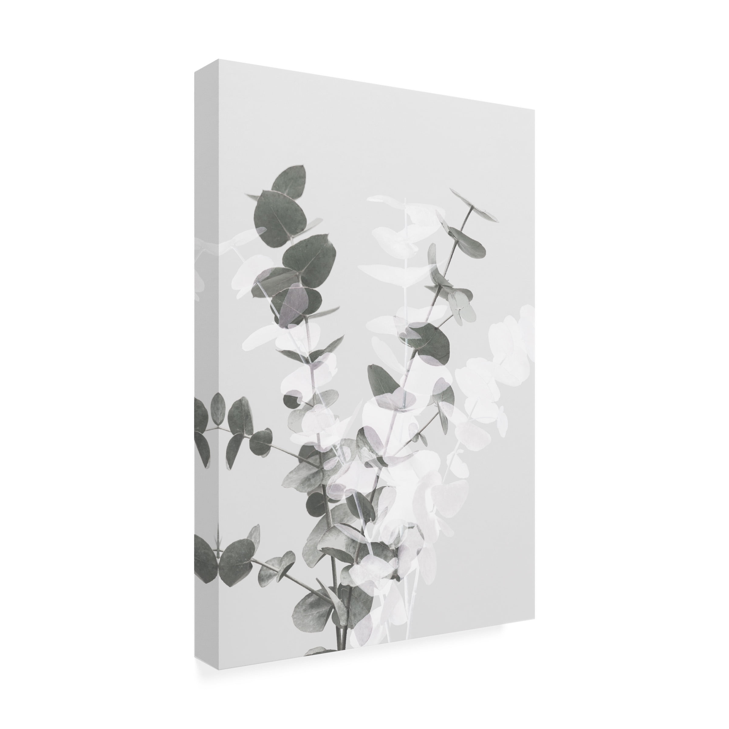 1x Studio III 'Eucalyptus Creative 08' Canvas Art