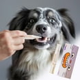 thumbnail image 6 of Pet Teeth Cleaning Pen - Freshens Breath, Whitens Teeth & Removes Plaque - Safe & Easy-to-Use Dental Care for Dogs & Cats - 5ml, 6 of 8