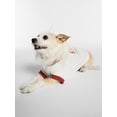 thumbnail image 4 of Kacey Lee Music Note Golden Texas Pet Baseball Hat for Cats & Dogs, Red, Size Extra Small/Small, 4 of 4
