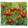 thumbnail image 4 of DESIGN ART Designart 'Blooming Red Marigold Flowers' Floral Throw Blanket, 4 of 5
