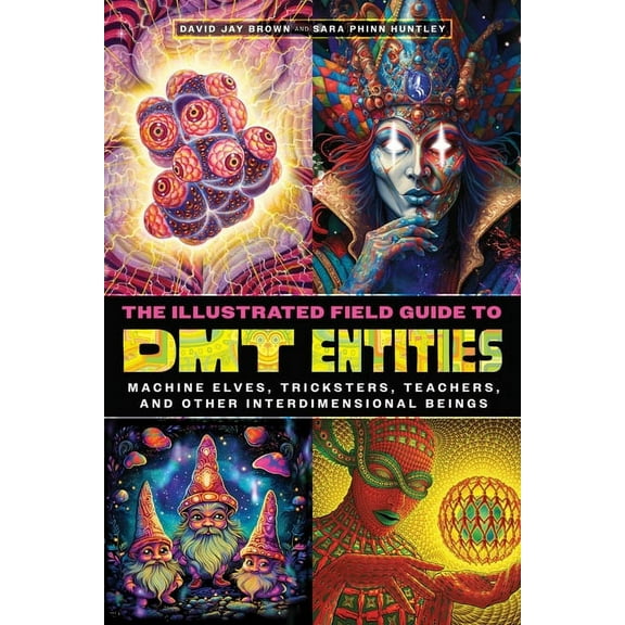 The Illustrated Field Guide to Dmt Entities: Machine Elves, Tricksters, Teachers, and Other Interdimensional Beings, (Paperback)