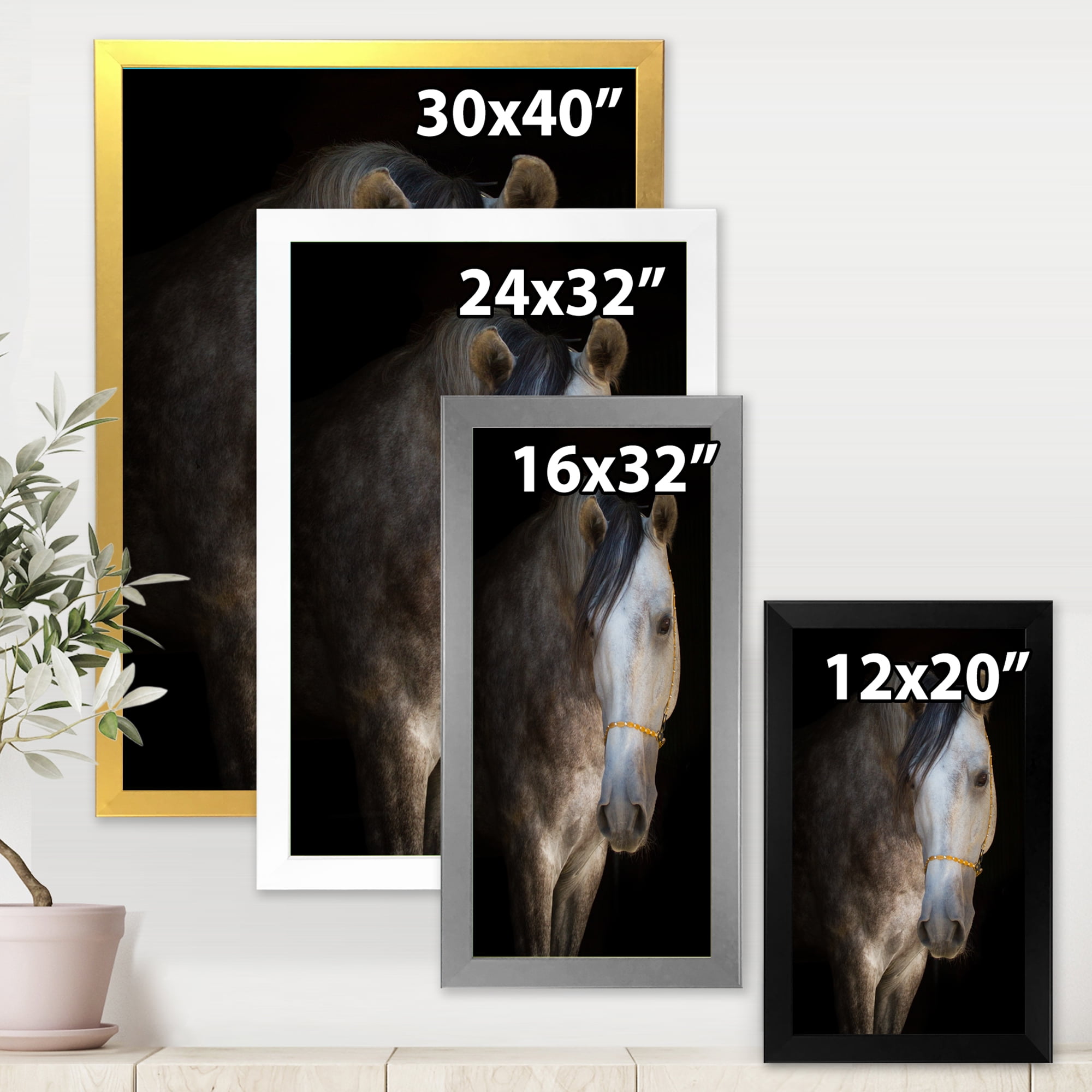 Designart 'Close Up Portrait Of A White Horse' Farmhouse Framed Art Print