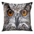 thumbnail image 1 of RYLABLUE Orange Barn Owls Portrait Eyes Yellow Close Flying Throw Pillowcase Cushion Case Cover, 1 of 1