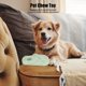 thumbnail image 3 of Juguete Para La Dentición De Perros, Juguete Para Masticar Para Perros Resistente A Mordeduras Con Forma De Zapatilla Linda Para Regalo, 3 of 7