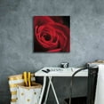 thumbnail image 4 of Epic Graffiti 'The Red Rose I' by Lori Deiter, Canvas Wall Art, 18"x18", 4 of 8