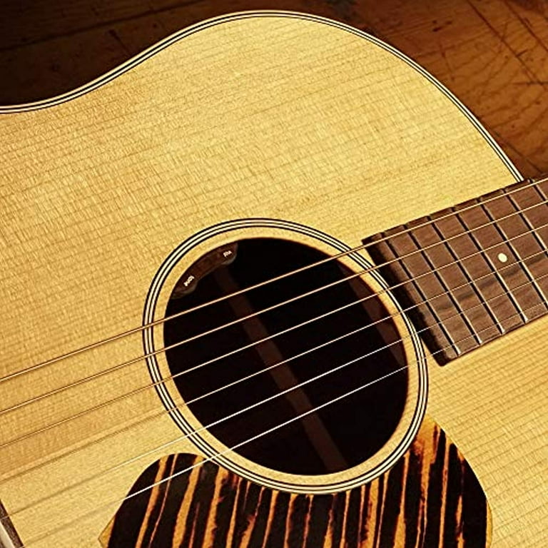 Lr baggs 2024 acoustic pickup