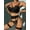 Black, variant on Women's Exotic Lingerie Sets, Scalloped Lace Garter Bra and Panty Sets, Black(S)