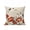 Beige, variant on 1 Pack Outdoor Throw Pillow, Country Flowers Waterproof Pillow with Insert Included, Red Japanese Peony Floral White Bird Decorative Accent Cushion Sofa Pillows for Patio Porch, 16 x 16 In