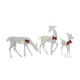thumbnail image 3 of Juego de 3 Adornos Navideños BLESIY Iluminados con Forma de Reno Decoración para Exteriores, 3 of 7
