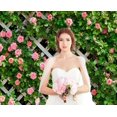 thumbnail image 3 of AIIKES 8x6FT Vinyl Photography Background Spring Flower Flowers Green Leaves Fence Wedding Background Baby, 3 of 5