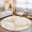 Beige, variant on Blue Conch Washable Area Rug 2 x 3 ft Coastal Summer Ocean Beach Nautical Modern Soft Non Slip Rugs Stain Repellent Indoor Felt Carpet for Living Dining Room Bedroom Home Office