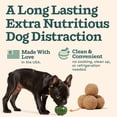 thumbnail image 2 of Recarga Pops para juguete para cachorros WOOF Pupsicle All-in-1 Health, 2 of 7