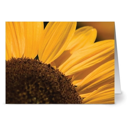 Florals Garden Note Card - 24 Floral Note Cards - You Are My Sunshine - Blank Cards - Yellow Envelopes Included