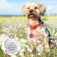 thumbnail image 3 of RuiJiao Personalized Pet Tag Dog Tag Tag Alloy Metal Glitter Dog Tag Blank Dog Tag Pendant Engraved Pet Accessory, 3 of 9