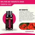 thumbnail image 3 of 6Pcs 10ML Essential Oil Set Fragrance Oil for Aroma Diffuser Flower Fruit Essential Oil Aromatherapy Air Freshening, 3 of 10