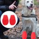 thumbnail image 4 of EeaseMX 4 fundas impermeables para zapatos de lluvia, antideslizantes, para exteriores, duraderas, para mascotas, gatos y perros (rojas, talla L), 4 of 7