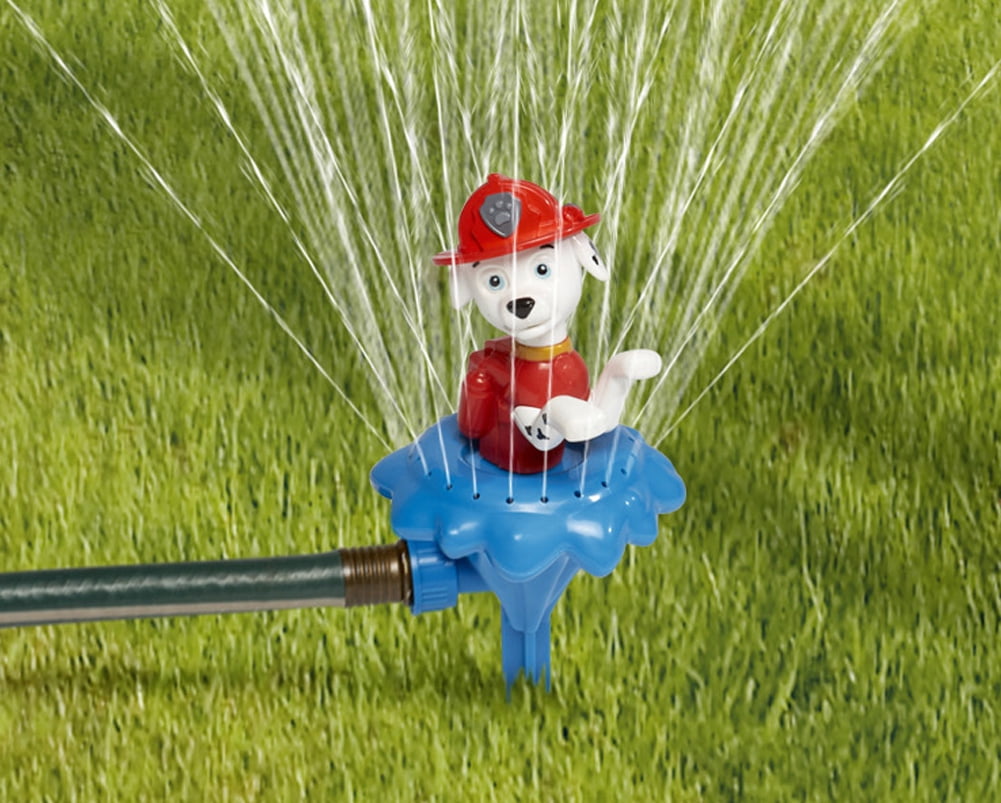 paw patrol water