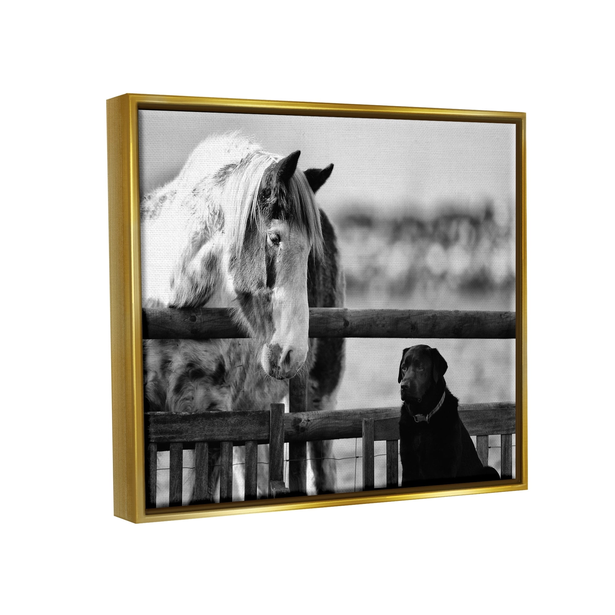 Stupell Industries Dog & Horse Farm Animal Friends Monochrome Photography Photograph Metallic Gold Floating Framed Canvas Print Wall Art, Design by James Dobson