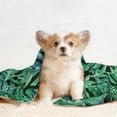 thumbnail image 4 of Disketp Monstera Leaves Dog Blanket/Bed Cover for Dogs and Cats,Puppy Essentials-Large, 4 of 8