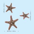 thumbnail image 4 of biOrb Pink Sea Star Set - Aquarium Decor, 4 of 9