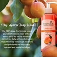 thumbnail image 4 of Holistic Bio Apricot Refreshing Body Wash | Keeps Skin Fresh and Clean | Brightens Skin and Reducing Dark Spots | 100% Botanical Extracts | Suitable for All Skin Types | 200ml, 4 of 6