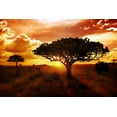 thumbnail image 2 of Africa Sunset Wall Mural by Wallmonkeys Peel and Stick Graphic (48 in W x 32 in H) WM85088, 2 of 4