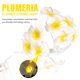 thumbnail image 3 of Guirnalda de luces LED artificiales de plumeria de 1,5 m, 10 luces LED con efecto estrellado, funciona con pilas, ideal para decoración de bodas, cumpleaños y fiestas (blanco cálido)., 3 of 8