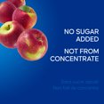 thumbnail image 4 of SunRype Pure Apple Juice Boxes 5X200ML, 4 of 9