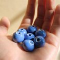 thumbnail image 4 of HongHeng Clearance Under $2.00 5 Piece Magnetic Blueberry Resin Fridge Magnets Realistic Fruit Decor Strong Magnet for Refrigerator Locker Whiteboard, 4 of 5