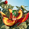 thumbnail image 2 of PERRIER & JUICE Peach & Cherry Sparkling Beverage – 6x330 mL Can, 2 of 6