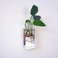 thumbnail image 1 of Terrario de Cristal Macarena Florero colgante, 1 of 8