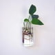 thumbnail image 2 of Florero de Cristal con Forma de , Botella de Planta, Decoración para , Terrario, 2 of 8