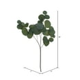 thumbnail image 2 of Vickerman 28" Artificial Green Silver Dollar Populus Eucalyptus Spray. 2 Sprays In A Bag., 2 of 2