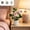3Pcs Artificial Rose Bonsai Under $5 a1, variant on Usloyux Artificial Rose Mini Bonsai Planter, Realistic Silk Flowers Faux Potted Plants for Home Interior Decoration, Lifelike Artificial Plants Display for Table Shelf Office Living Room Mantel