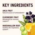 thumbnail image 3 of Banyan Botanicals Elderberry Honey – Organic Herbal Honey with Sambucus & Amla ­­– Immune Support for Kids & Adults* – 8.25 Oz – Raw & Unfiltered, Pollinator-Friendly, Sustainably Sourced, 3 of 7