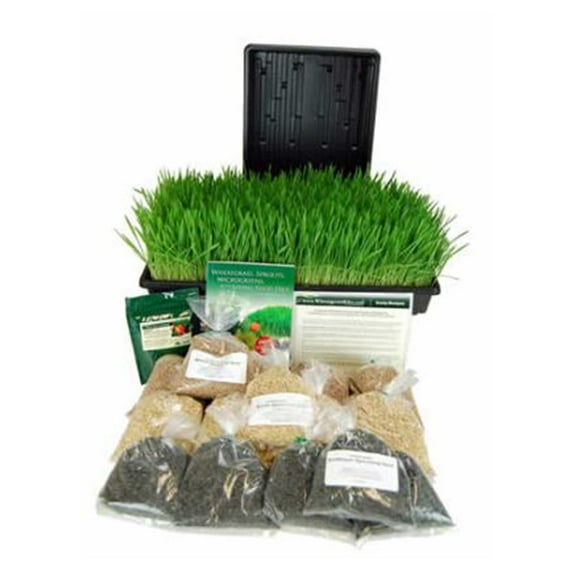 Deluxe Wheatgrass, Barleygrass & Sunflower Microgreens Growing Kit - Grow Wheat & Barley Grass & Sun Flower Micro Greens