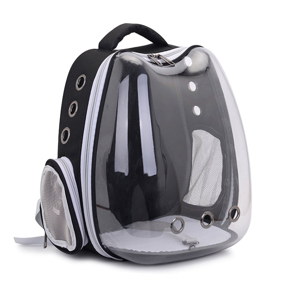 cat backpack transparent