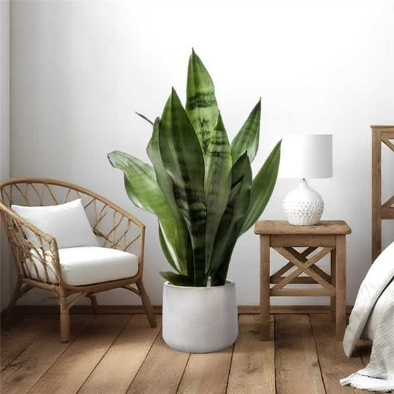 Noble House Modern Samantha Flowerpot Set, Premium Ceramic Planters for Garden or Patio, Set of 4, American White Oak