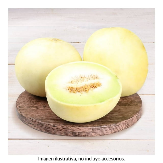 Melón valenciano por kilo