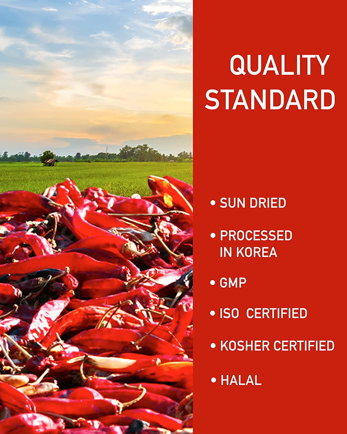 Taekyung Chili Powder For Kimchi (Flake, 3LB) - Korean Gochugaru. Red Pepper Spice Seasoning for Asian Food. MSG Free.