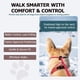 thumbnail image 3 of Correa antideslizante para perro, cuerda de entrenamiento de nailon fuerte con tapón ajustable con resorte  5/16 x 6 pies, correa resistente sin tirones para perros pequeños, medianos y grandes, 3 of 5