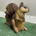 thumbnail image 4 of 10" Solid Concrete Squirrel Holding a nut Statue, Weather proof Squirrels outdoor statues, life-size Garden Statues, Outdoor lawn Decor, 4 of 9
