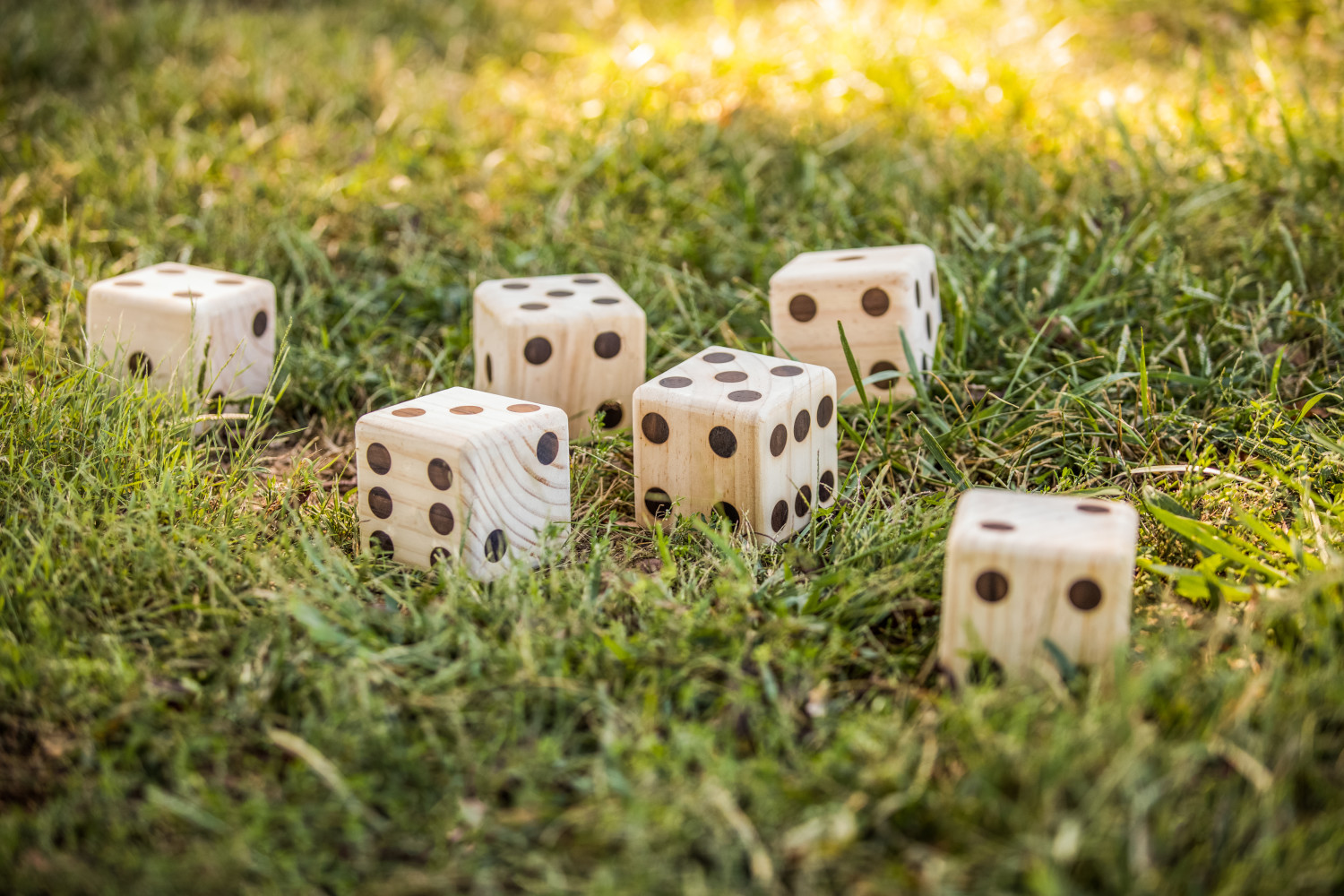 Triumph Big Roller Six Large Wooden Lawn Dice Set for Outdoor Use with Included Dry-Erase Scorecards, Markers, and Carry Bag