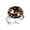 Multi 5, variant on Golden Chinese Dragon Pattern Stainless Steel Rings for Women, Open Adjustable Ring Promise Ring Jewelry Gifts