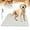 White-1pc, variant on Puppypad Pee Pads, Puppypad with Pheromones, The Last Pee Pad You'll Get Absorbent Reusable, Pet Whelping Pad, Non-Slip Puppy Pad Pee Pads for Small Medium and Large Dogs (red-1pc, 11.8*11.8in)