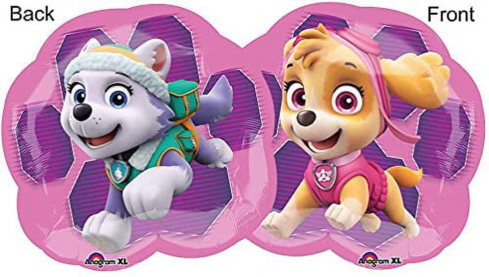 Paw Patrol Party Supplies Skye and Everest Pups 2nd Birthday Balloon Bouquet Decorations Pink Number 2