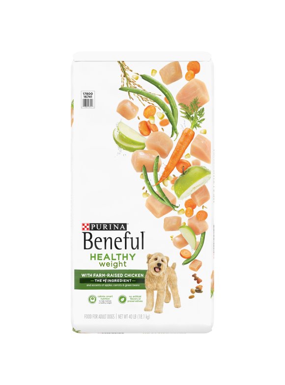 Healthy Dog Food in Dog Food