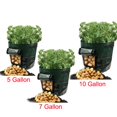 thumbnail image 2 of Matsuzay GAL Potato Grow Planter Contenedor Bolsa Bolsa Plant Growing Pot Ventana lateral Jardín y Patio Numero 3 Matsuzay HA026182-03, 2 of 6