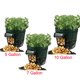 thumbnail image 2 of Ounissouiy Bolsa para cultivo de patatas, contenedor para plantas, jardinera DIY, maceta de tela, herramienta para jardín vegetal Jardín y Patio No.2 Ounissouiy HA026182-02, 2 of 6