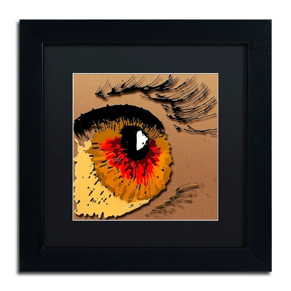 Trademark Fine Art "Eye 1" Canvas Art by Roderick Stevens, Black Matte, Black Frame